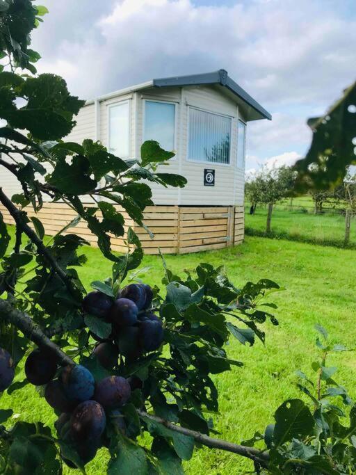 Plum Tree Lodge Set In 2 Acres Of Private Land Coundon Exterior foto